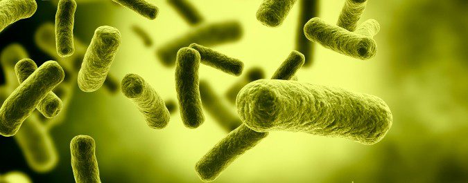 Las bacterias son capaces de desarrollar resistencia a los antibióticos