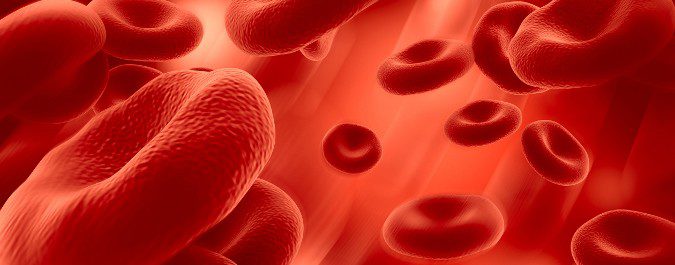 La hemofilia provoca diferentes tipos de hemorragias