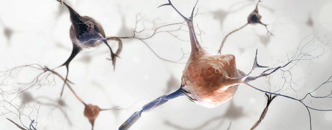 En el Parkinson hay un déficit de liberación de dopamina en la sustancia negra del cerebro