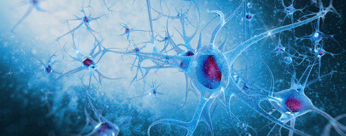 La enfermedad de Alzheimer es neurodegenerativa, en la que vamos perdiendo masa cerebral
