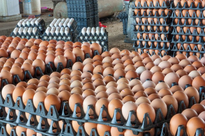 Los huevos ayudan al desarrollo de la queratina, el principal componente de las uñas
