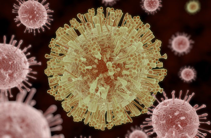 En casos de contagio a embarazadas, el virus atraviesa la placenta y afecta al desarrollo del cerebro del feto