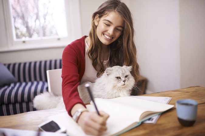 Las mascotas no solo son compañeros también se convierten en tu familia