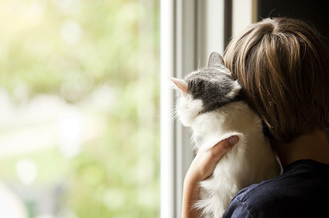 Un gato es tu mejor compañía