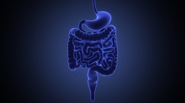 La tenia llega al cuerpo a través de la ingesta de alimentos