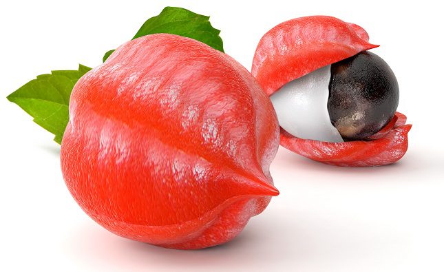 La fruta del guaraná es buena para ganar elasticidad en las arterias