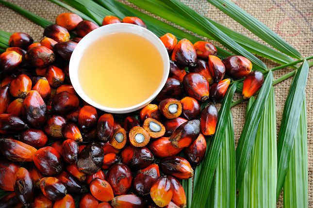 Evita todos los productos que contengan aceite de palma