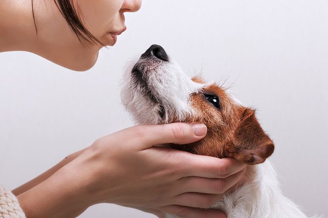 El amor mutuo que se siente entre dueños y mascotas es real y seguramente sea el responsable de que por eso exista un vínculo muy especial entre ellos