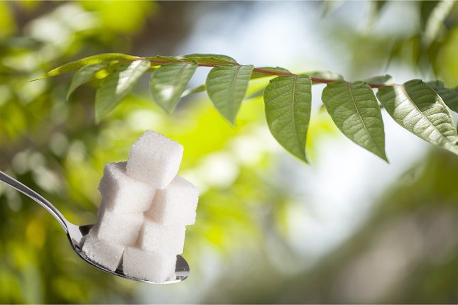 La stevia podemos encontrarlas en galletas, tés e incluso en terrones