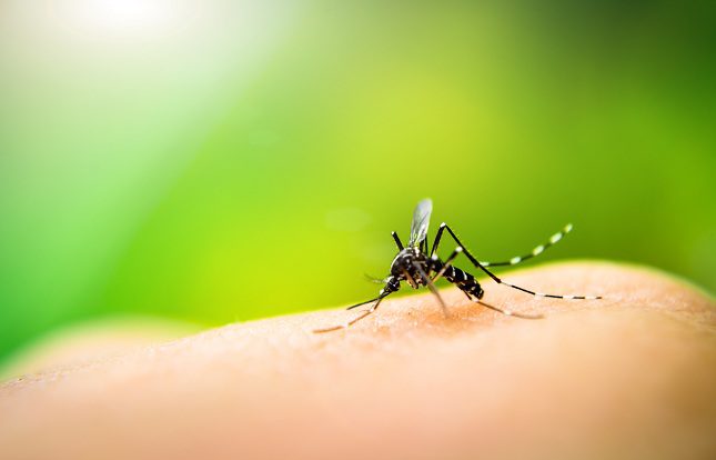Aplicarse agua fría sobre la picadura es un remedio natural bastante conocido