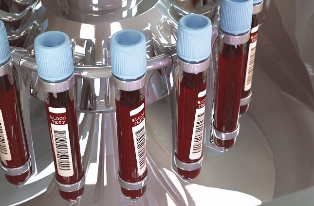 El oxígeno y los nutrientes pasan por todo el cuerpo gracias a la hemoglobina