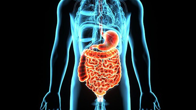 Si quieres mantener una salud intestinal sana, los médicos recomiendan hacer ejercicio