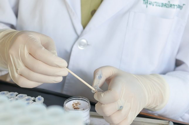 El análisis de heces no es una prueba que se suela solicitar de manera rutinaria
