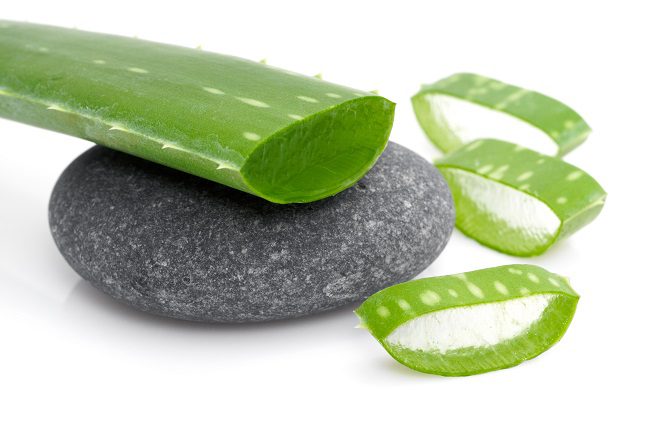 Esta planta se caracteriza por sus propiedades antibacterianas