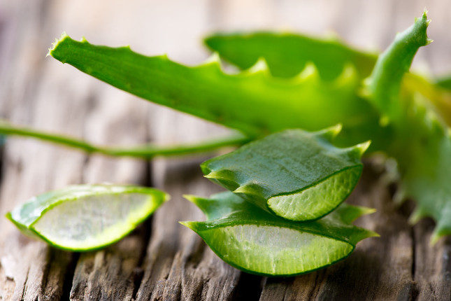 El aloe vera nos ayudará a generar humedad en la zona vaginal
