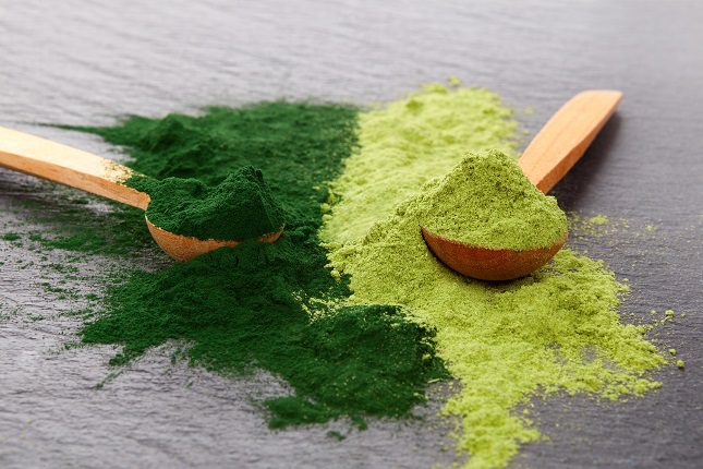 Dicha alga ayuda a favorecer la flora intestinal