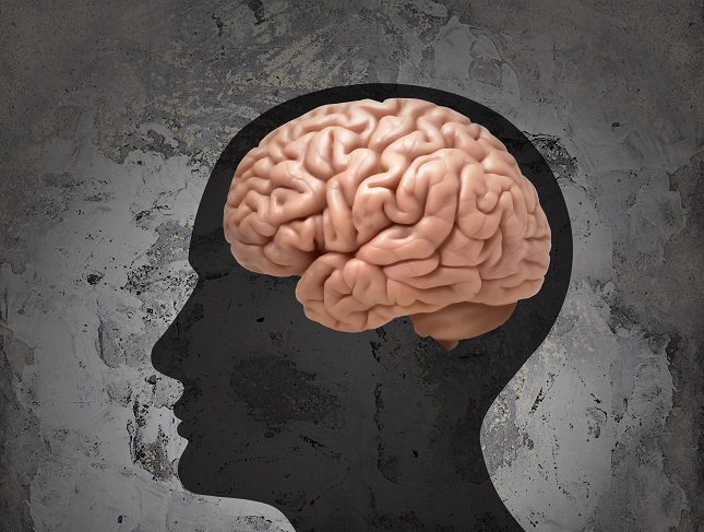 Morfológicamente el cerebro de los hombres y de las mujeres es exactamente igual