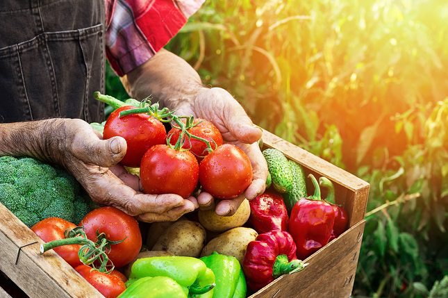  Las personas vegetarianas tienen hasta 2 veces menos probabilidades de tener diabetes de tipo 2 