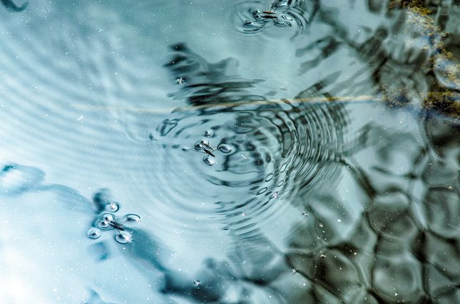 Podemos llamar agua cruda al agua que encontramos directamente en ríos, lagos o manantiales