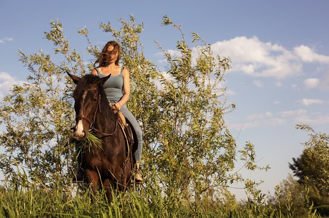 El éxito de la terapia equina se debe probablemente a la naturaleza de los animales con los que se trabaja