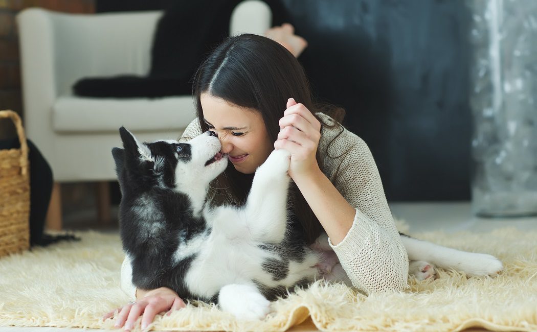 ¿Es cierto que los perros pueden detectar el cáncer de mama?