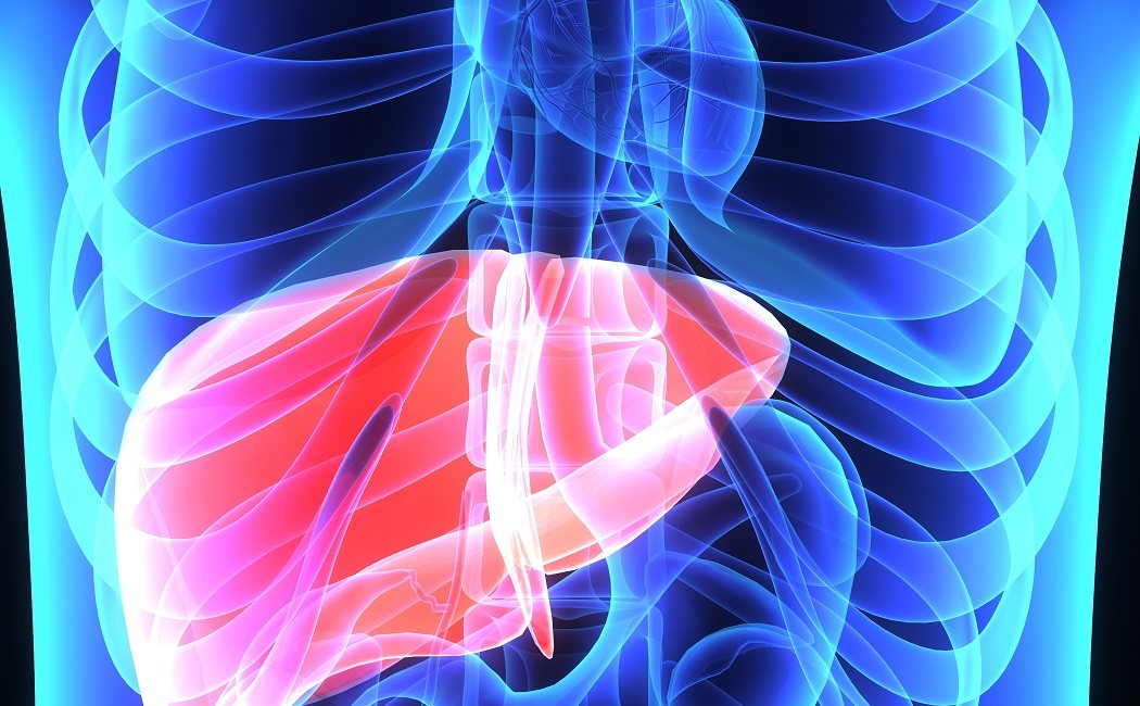 Hepatoesplenomegalia; cuando se hincha el hígado y el bazo