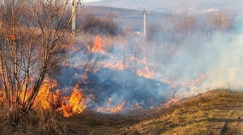 Cómo el humo de los incendios puede afectar a tu salud