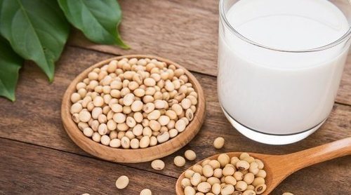 Menú completo con proteína no animal