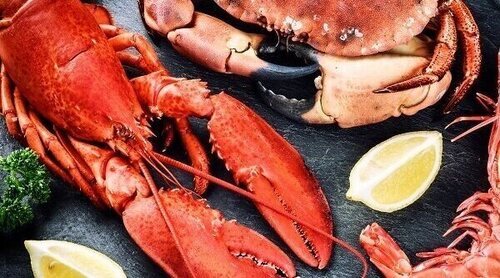 ¿Es saludable comer marisco?