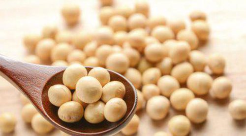 Soja y otros alimentos con fitoestrógenos para los efectos de la menopausia