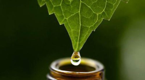 ¿Qué es la homeopatía?