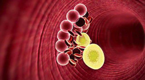 ¿Provoca la menopausia un aumento de colesterol?