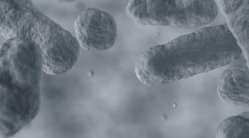 ¿Qué fue la gripe española?