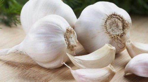 7 beneficios del ajo en la salud