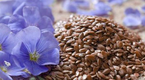 Qué beneficios tienen las semillas de lino para la salud
