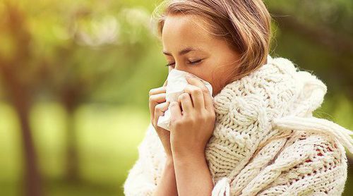 Descubre cuáles son los mejores antihistamínicos naturales