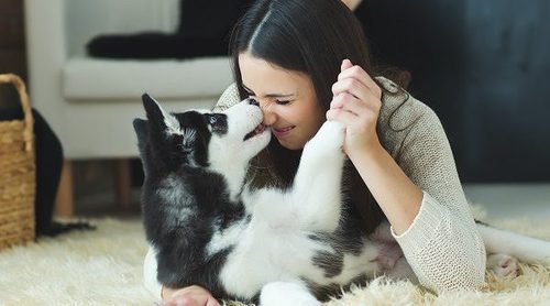 ¿Es cierto que los perros pueden detectar el cáncer de mama?