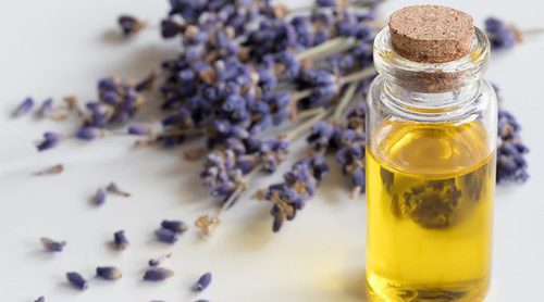Cuáles son los 5 mejores aceites esenciales para tu salud