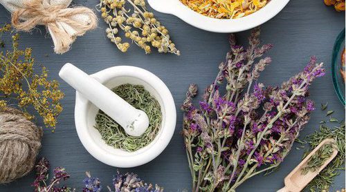 ¿Realmente la homeopatía puede curar enfermedades?