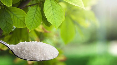 Qué es la stevia y cuáles son sus beneficios