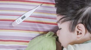 Qué es el virus de la bofetada