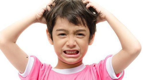 Piojos: cómo se contagian y cómo se eliminan