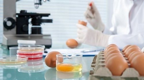 Los mejores tratamientos para la salmonela