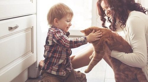 ¿Tu mascota puede enfermarte?