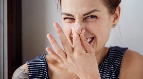 Bromidrofobia y Síndrome de Referencia Olfativo: diferentes pero parecidos