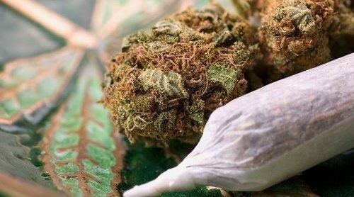 Cómo la marihuana puede afectar a tu salud