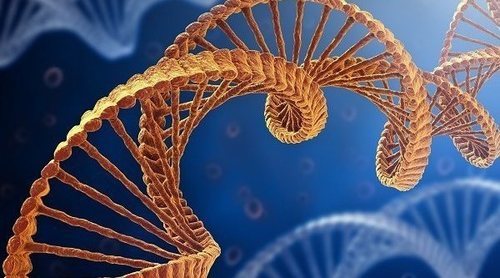 Cómo se heredan las enfermedades genéticas