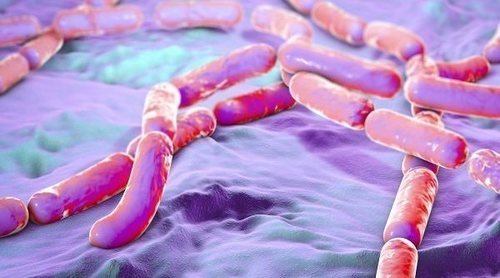 Carbunco: una enfermedad bacteriana poco frecuente