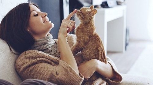 Relación entre la alergia a los gatos, la urticaria y el asma