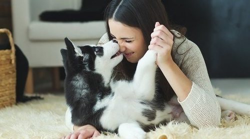 Si tienes asma, ¿puedes tener perro?